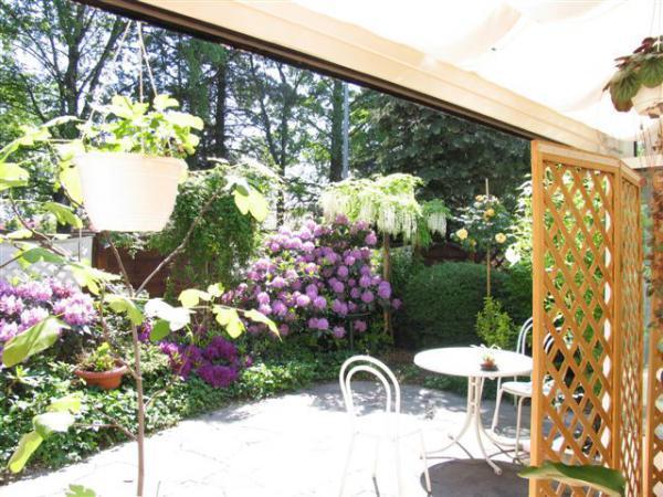 Apartment Louise 50 M Zum *