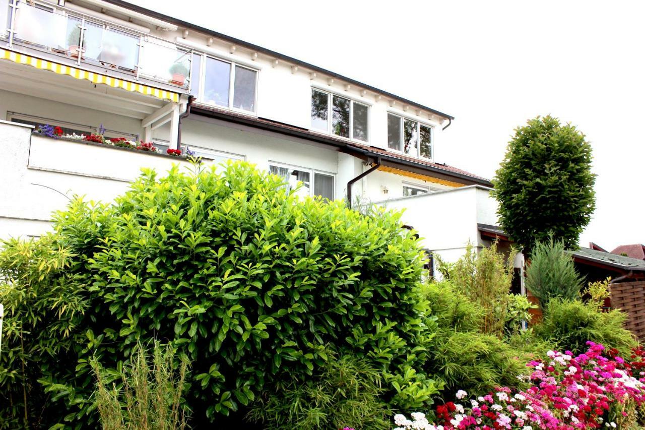 Apartment Louise 50 M Zum